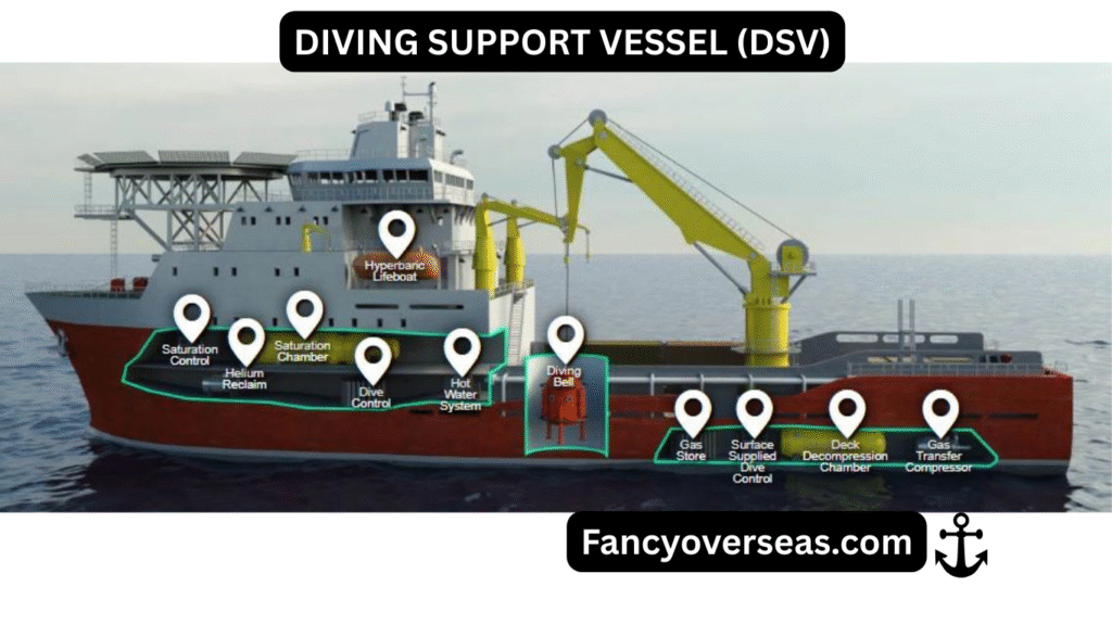 أنواع السفن Types of ships