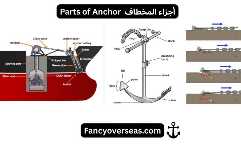 أجزاء المخطاف Parts of Anchor