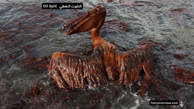 أشهر حوادث التلوث النفطي البحري بسبب السفن