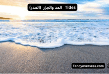 المد والجزر (المدر) Tides