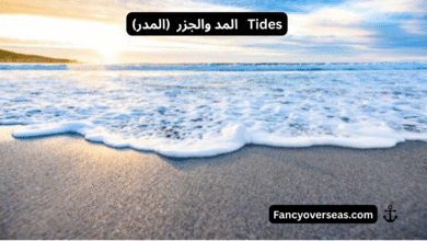 المد والجزر (المدر) Tides