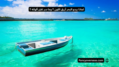 لماذا يبدو البحر أزرق اللون ؟ وما سر تغيّر ألوانه ؟
