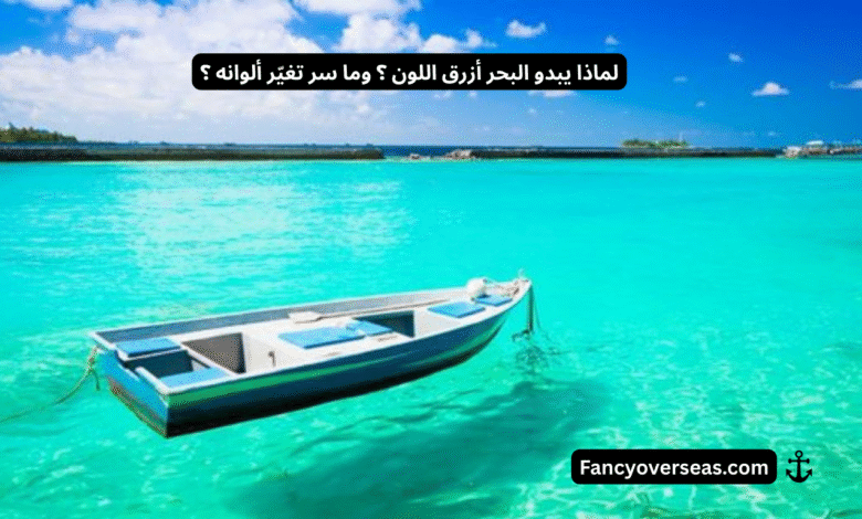 لماذا يبدو البحر أزرق اللون ؟ وما سر تغيّر ألوانه ؟