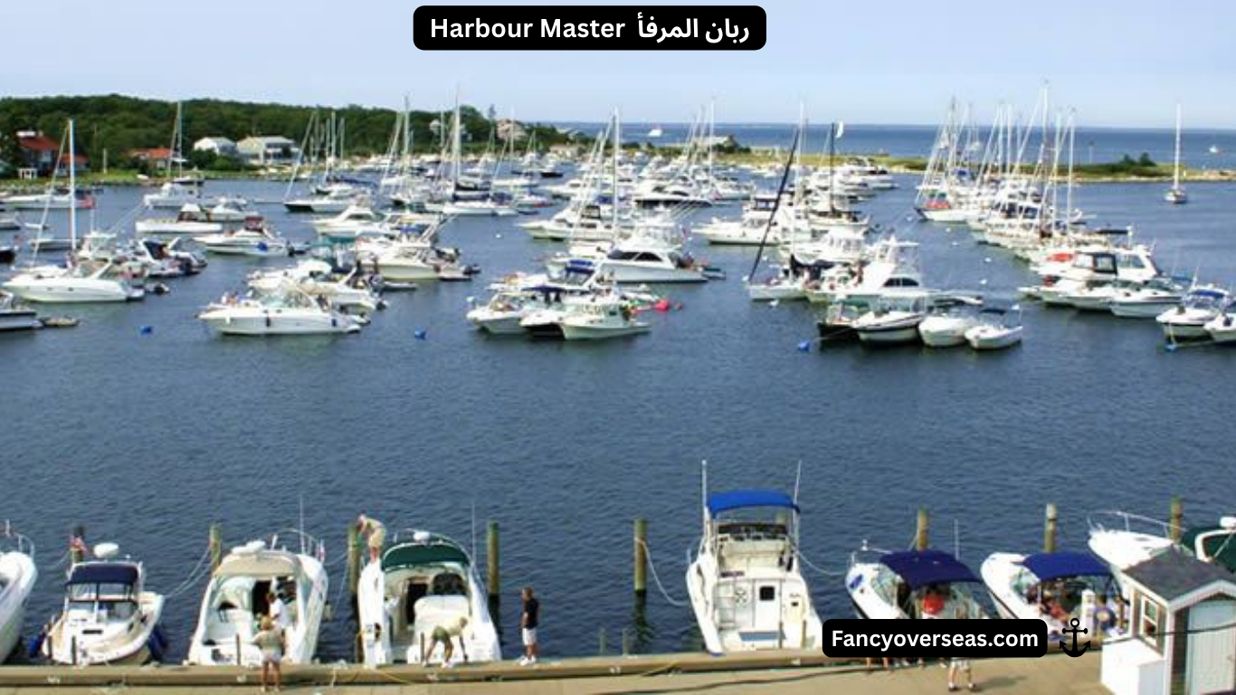 Harbour Master ربان المرفأ