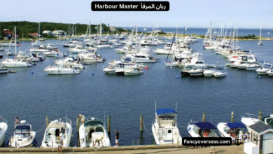 Harbour Master ربان المرفأ