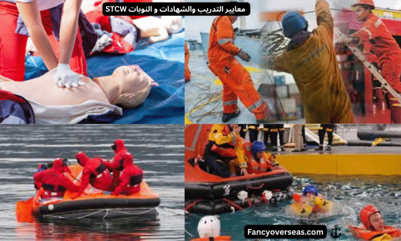 اتفاقية معايير التدريب والشهادات والنوبة للبحارة STCW
