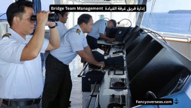 إدارة فريق غرفة القيادة (Bridge Team Management - BTM)