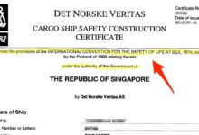 الشهادة الدولية للسلامة (International Safety Certificate – ISC)